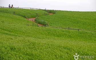 보리나라 학원농장
